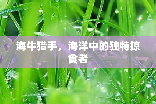 海洋中的独特掠食者图片