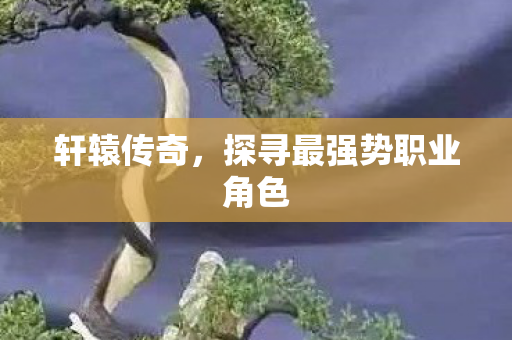探寻最强势职业角色图片