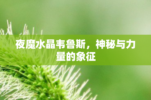 神秘与力量的象征图片