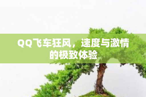 速度与激情的极致体验图片