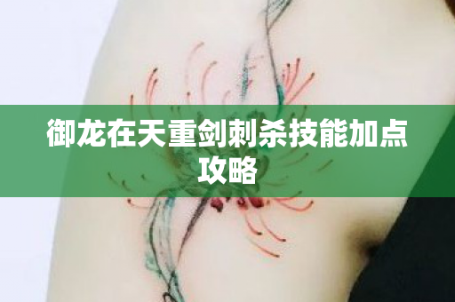 御龙在天重剑刺杀技能加点攻略图片