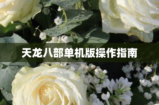 天龙八部单机版操作指南图片