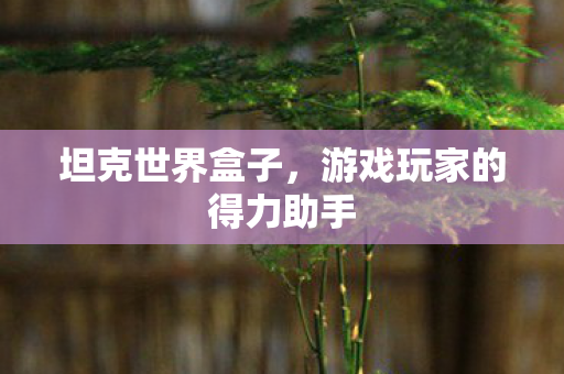 游戏玩家的得力助手图片