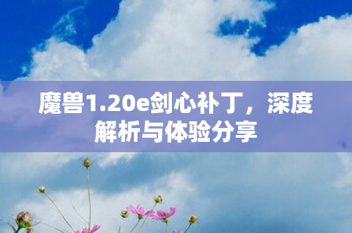 深度解析与体验分享图片