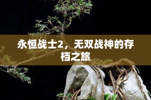 无双战神的存档之旅图片