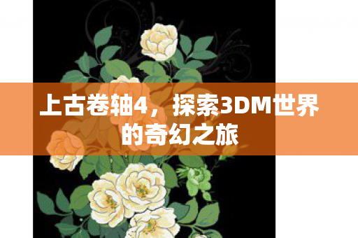 探索3DM世界的奇幻之旅图片