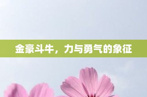 力与勇气的象征图片