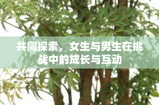 女生与男生在挑战中的成长与互动图片