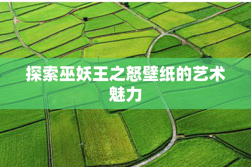 探索巫妖王之怒壁纸的艺术魅力图片