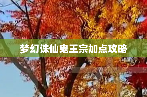 梦幻诛仙鬼王宗加点攻略图片
