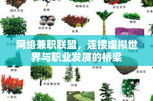 连接虚拟世界与职业发展的桥梁图片