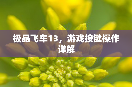 游戏按键操作详解图片