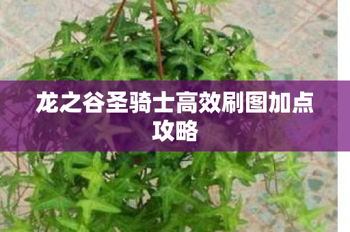 龙之谷圣骑士高效刷图加点攻略图片