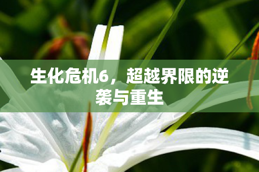 超越界限的逆袭与重生图片