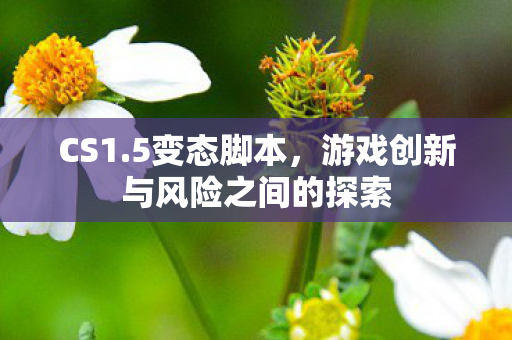 游戏创新与风险之间的探索图片