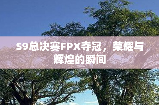 S9总决赛FPX夺冠图片