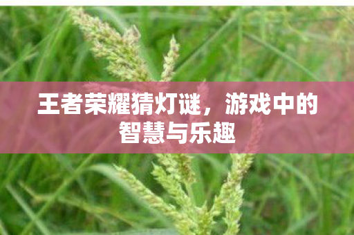 游戏中的智慧与乐趣图片