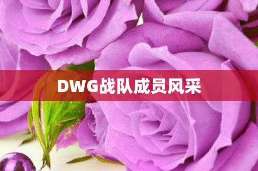 DWG战队成员风采图片