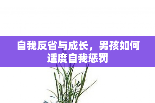 男孩如何适度自我惩罚图片