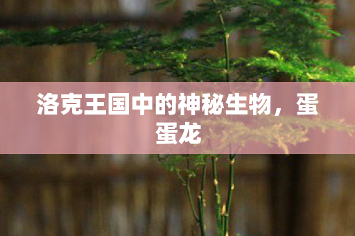 洛克王国中的神秘生物图片