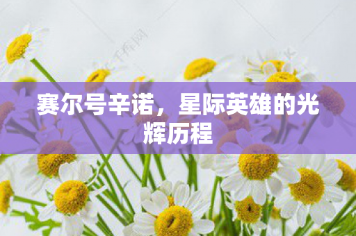 星际英雄的光辉历程图片