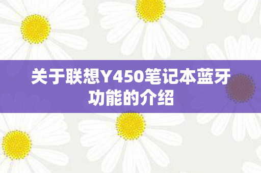 关于联想Y450笔记本蓝牙功能的介绍图片