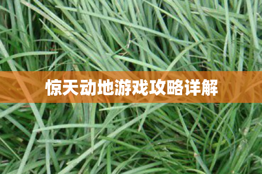 惊天动地游戏攻略详解图片