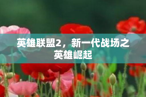 新一代战场之英雄崛起图片