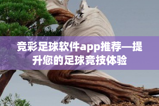 竞彩足球软件app推荐图片