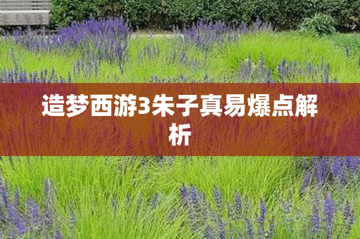 造梦西游3朱子真易爆点解析图片