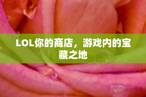 游戏内的宝藏之地图片