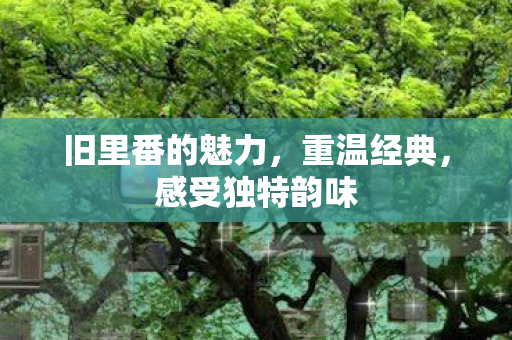 旧里番的魅力图片