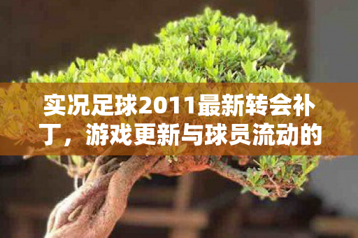 实况足球2011最新转会补丁图片