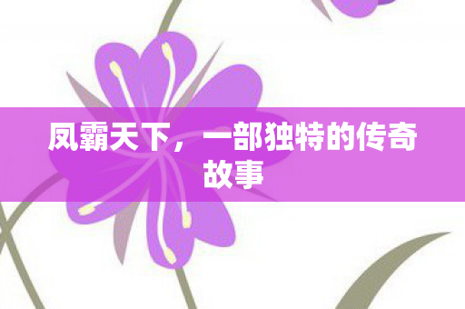 一部独特的传奇故事图片