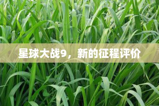 新的征程评价图片