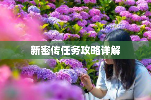 新密传任务攻略详解图片