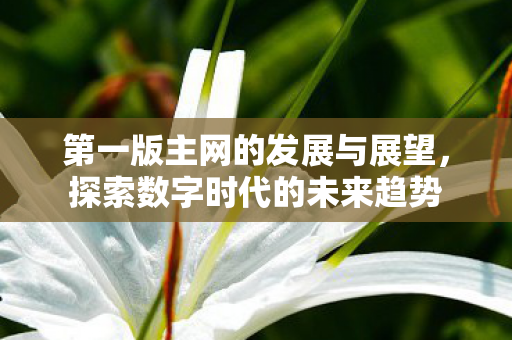 第一版主网的发展与展望图片