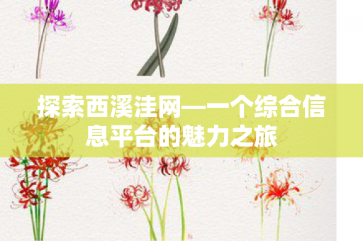 一个综合信息平台的魅力之旅图片