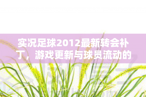 实况足球2012最新转会补丁图片