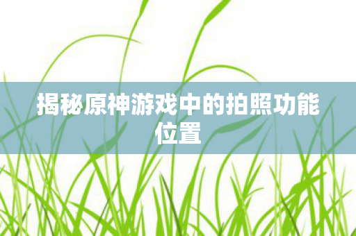 揭秘原神游戏中的拍照功能位置图片