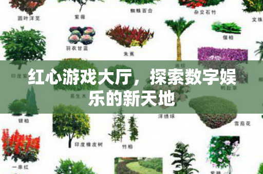 探索数字娱乐的新天地图片
