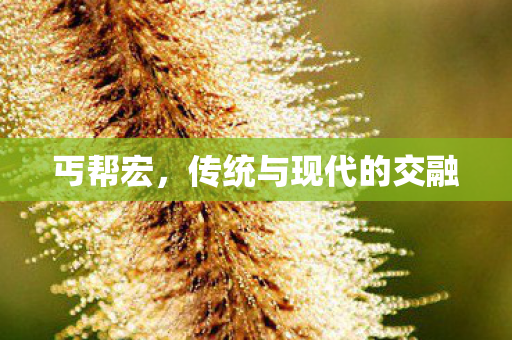 传统与现代的交融图片