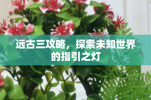 探索未知世界的指引之灯图片