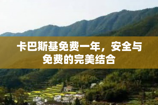 安全与免费的完美结合图片