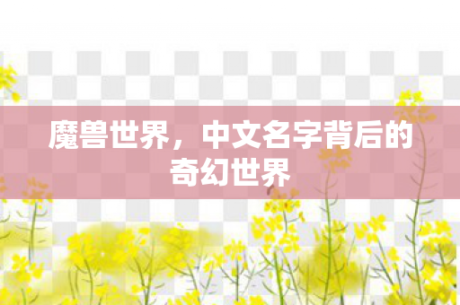 中文名字背后的奇幻世界图片