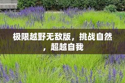 极限越野无敌版图片