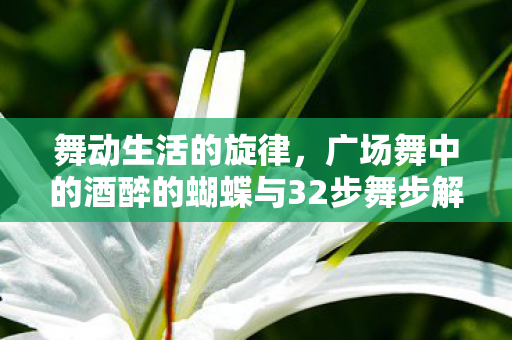 广场舞中的酒醉的蝴蝶与32步舞步解析图片