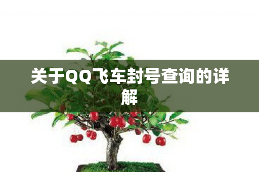 关于QQ飞车封号查询的详解图片