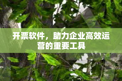 助力企业高效运营的重要工具图片