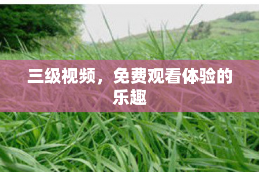 免费观看体验的乐趣图片